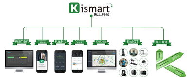 2018年全球健身展会时间纵览 互联网数据服务驱动下的行业新动态